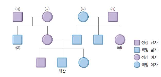 동아출판(주) 과학③ 312쪽 수정내용 이미지
