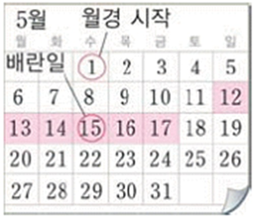 자연 주기법