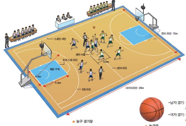(주)금성출판사 체육 255쪽 수정내용 이미지