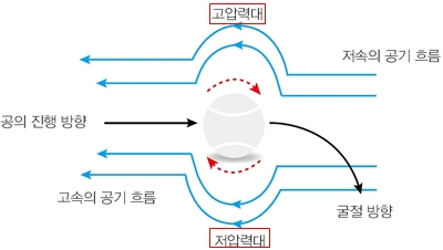 (주)체육과건강 스포츠 과학 86쪽 수정내용 이미지