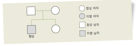 (주)천재교과서 과학③ 331쪽 현행내용 이미지