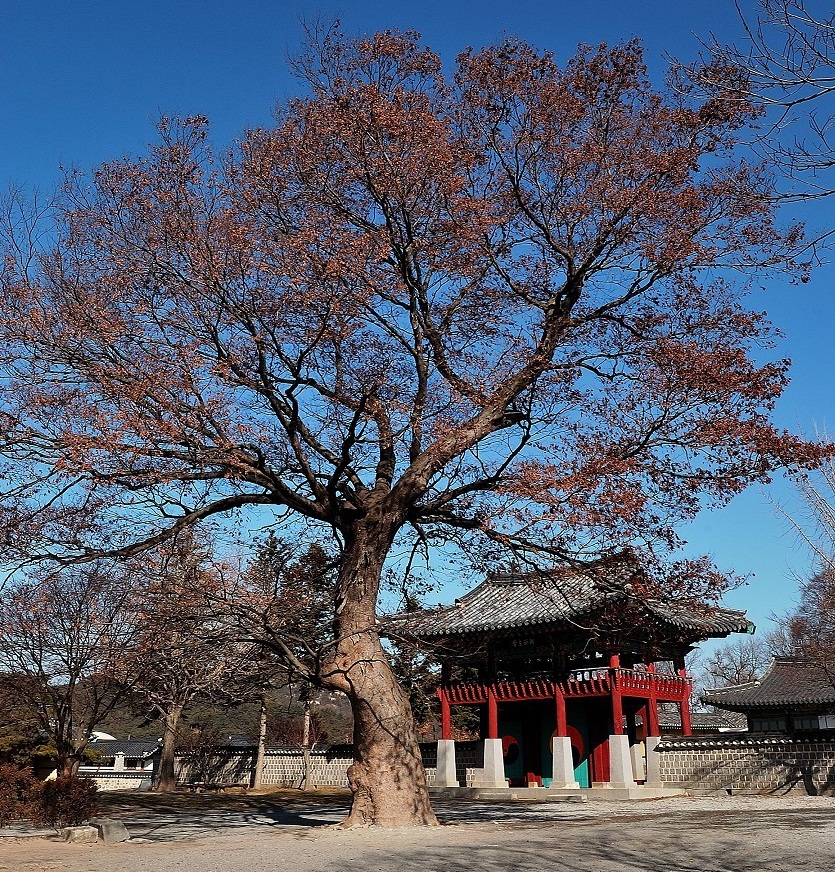 (주)비상교육 역사② 14쪽 현행내용 이미지