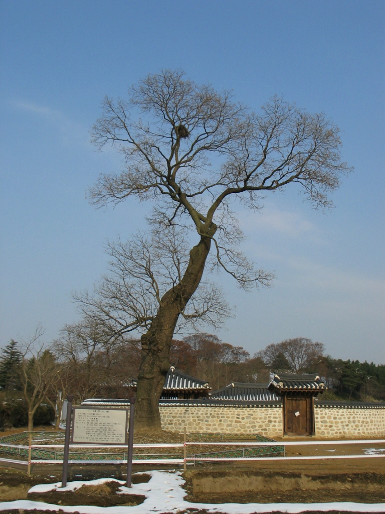 (주)비상교육 역사② 14쪽 수정내용 이미지