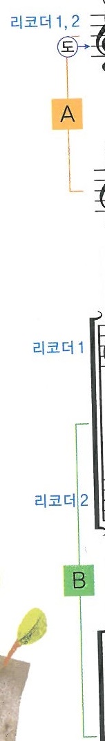 (주)천재교육 음악5~6 92쪽 현행내용 이미지