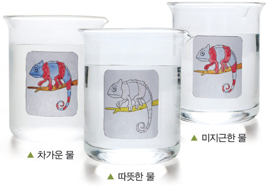 (주)비상교육 과학5~6 ① 25쪽 현행내용 이미지