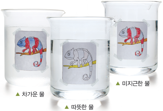 (주)비상교육 과학5~6 ① 25쪽 수정내용 이미지