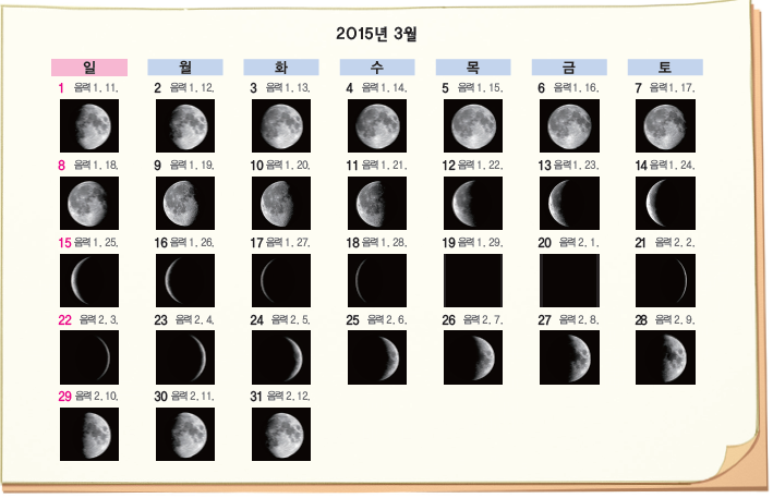 (주)비상교육 실험관찰5~6 ③ 27쪽 현행내용 이미지