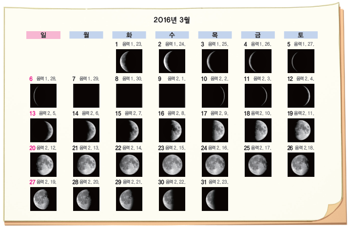 (주)비상교육 실험관찰5~6 ③ 27쪽 수정내용 이미지