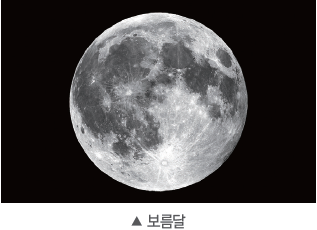 (주)비상교육 과학5~6(전자저작물CD 포함) ③ 217쪽 현행내용 이미지