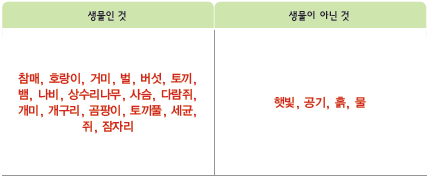 (주)비상교육 과학5~6(전자저작물CD 포함) ③ 247쪽 수정내용 이미지