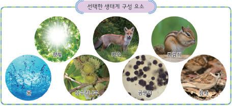 (주)비상교육 과학5~6(전자저작물CD 포함) ③ 253쪽 현행내용 이미지