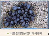 (주)비상교육 과학5~6(전자저작물CD 포함) ③ 258쪽 현행내용 이미지