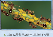 (주)비상교육 과학5~6(전자저작물CD 포함) ③ 258쪽 현행내용 이미지