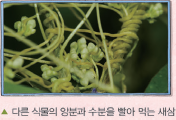 (주)비상교육 과학5~6(전자저작물CD 포함) ③ 258쪽 현행내용 이미지