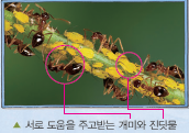 (주)비상교육 과학5~6(전자저작물CD 포함) ③ 258쪽 수정내용 이미지