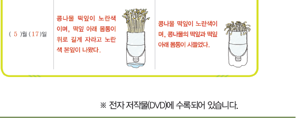 (주)비상교육 과학5~6(전자저작물CD 포함) ③ 263쪽 수정내용 이미지