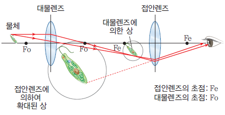 (주)비상교육 과학5~6(전자저작물CD 포함) ③ 321쪽 현행내용 이미지