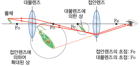 (주)비상교육 과학5~6(전자저작물CD 포함) ③ 321쪽 수정내용 이미지