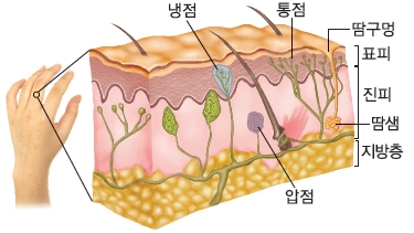 (주)비상교육 통합교과2-1 96쪽 현행내용 이미지