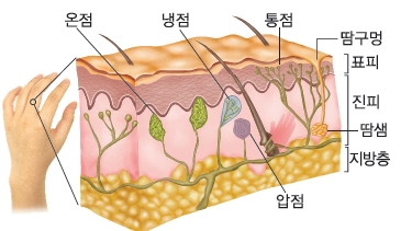 (주)비상교육 통합교과2-1 96쪽 수정내용 이미지