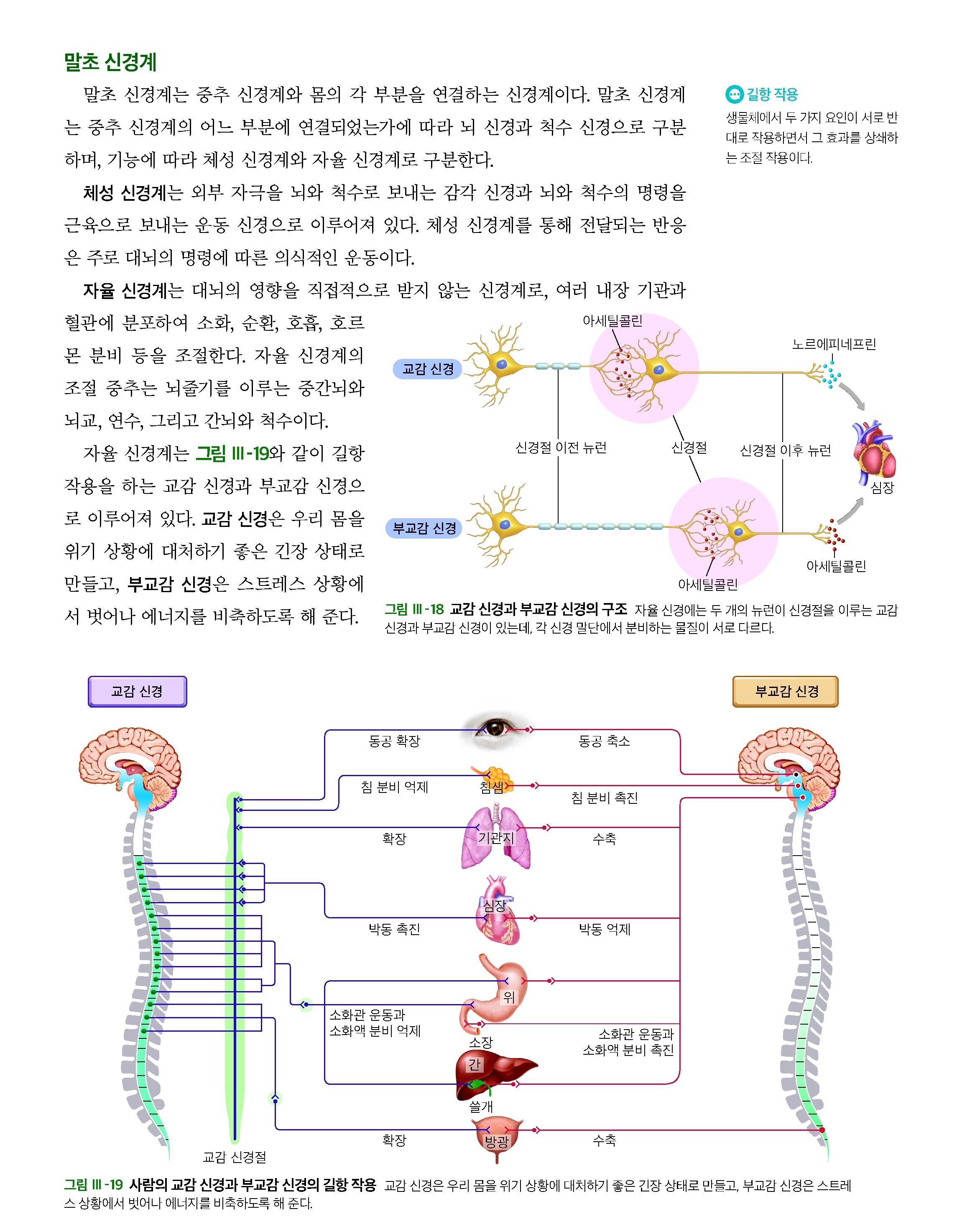 (주)와이비엠 생명과학Ⅰ 83쪽 수정내용 이미지