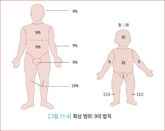 피앤피북 기초 간호 임상 실무 266쪽 수정내용 이미지