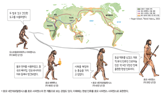 (주)비상교육 역사① 17쪽 수정내용 이미지