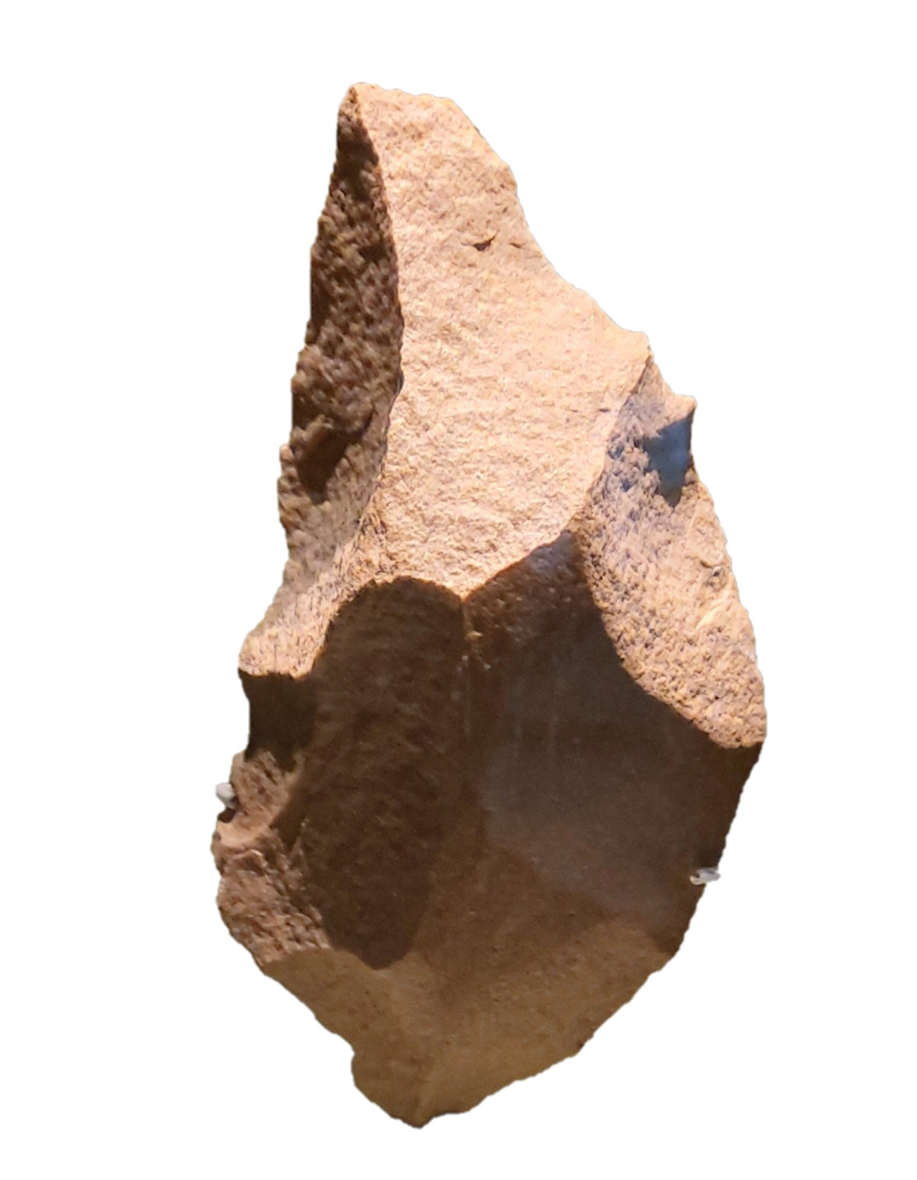 동아출판(주) 역사② 12쪽 수정내용 이미지