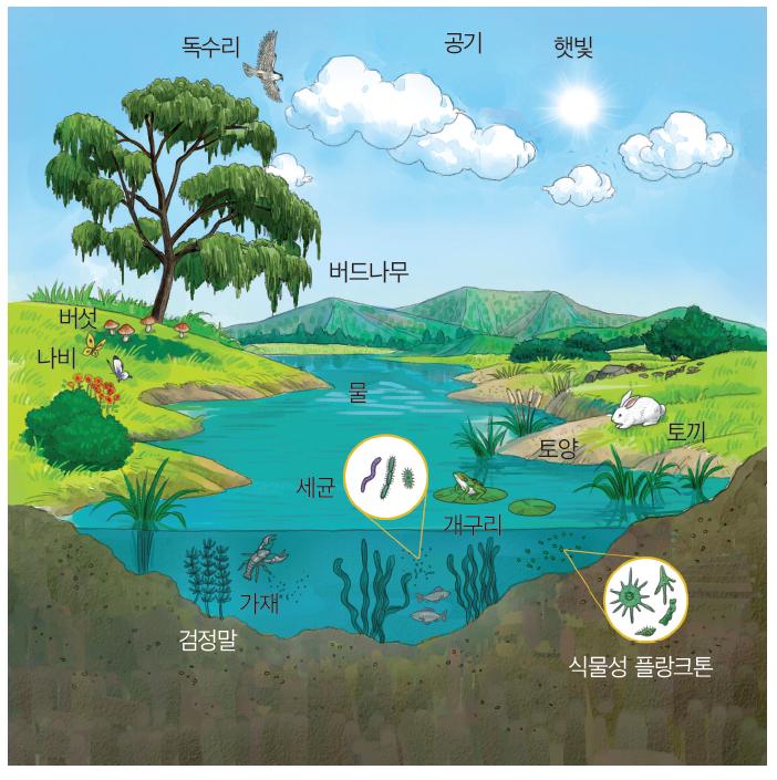 (주)미래엔 통합과학 245쪽 현행내용 이미지