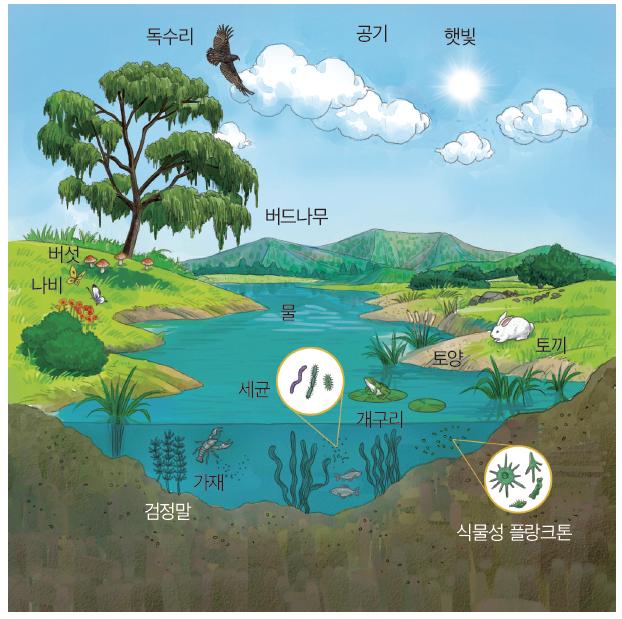 (주)미래엔 통합과학 245쪽 수정내용 이미지