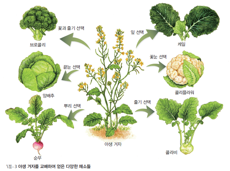 (주)천재교육 통합과학 228쪽 현행내용 이미지