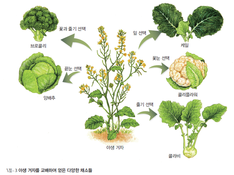 (주)천재교육 통합과학 228쪽 수정내용 이미지