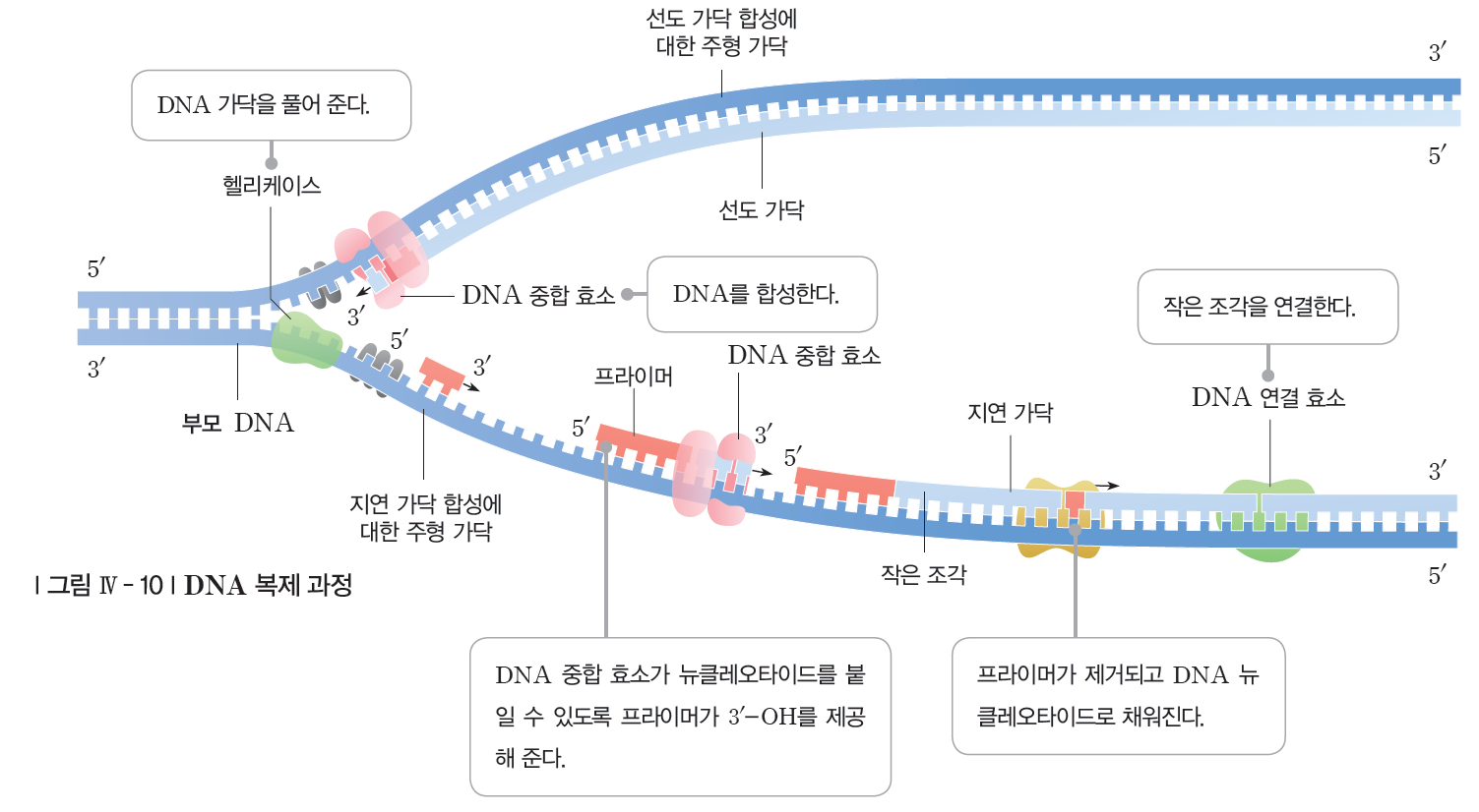 (주)지학사 생명과학Ⅱ 112쪽 현행내용 이미지