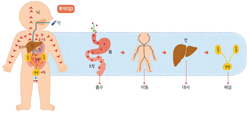 (주)와이비엠 함께하는 보건5 45쪽 수정내용 이미지