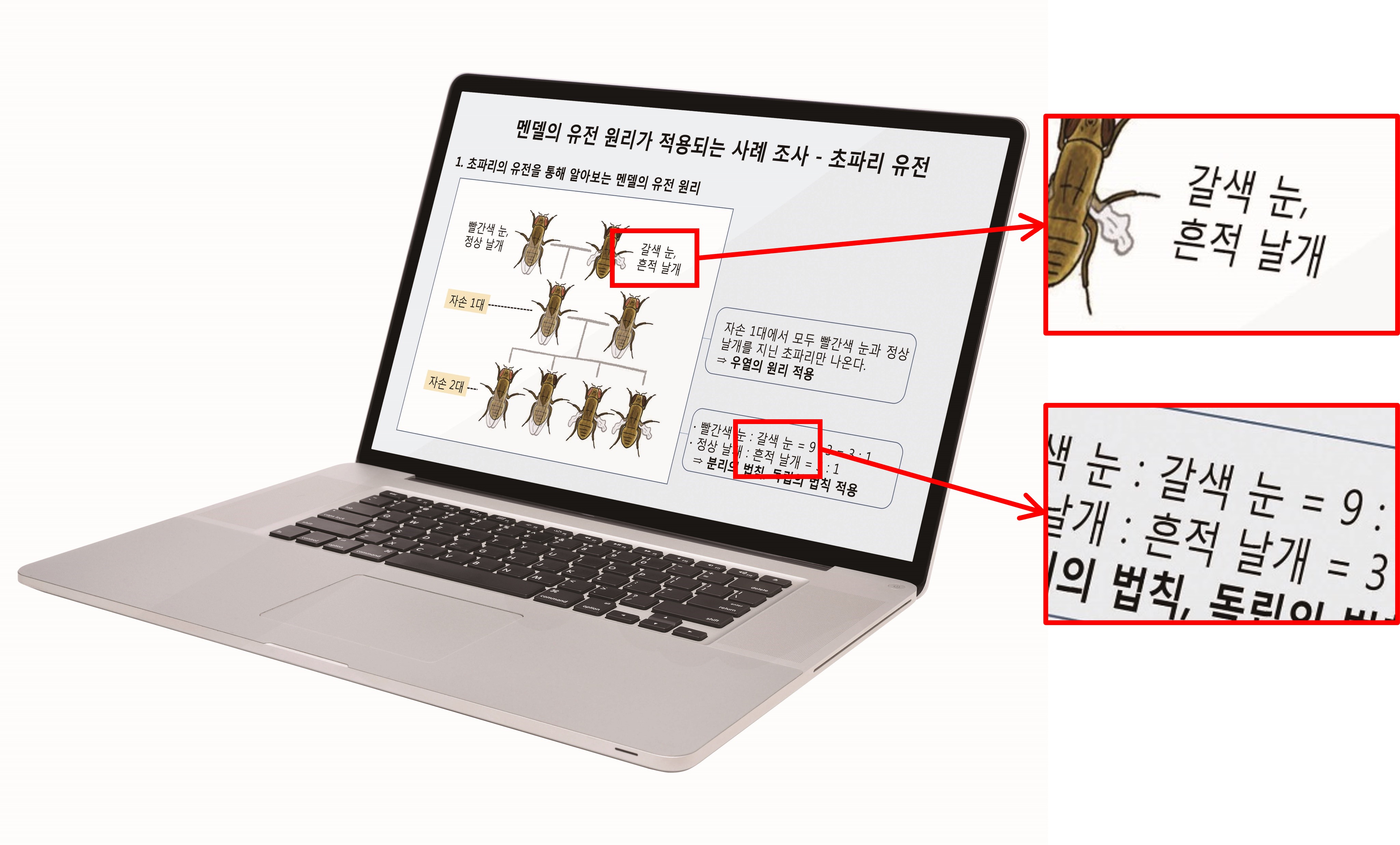 (주)비상교육 과학3 181쪽 현행내용 이미지