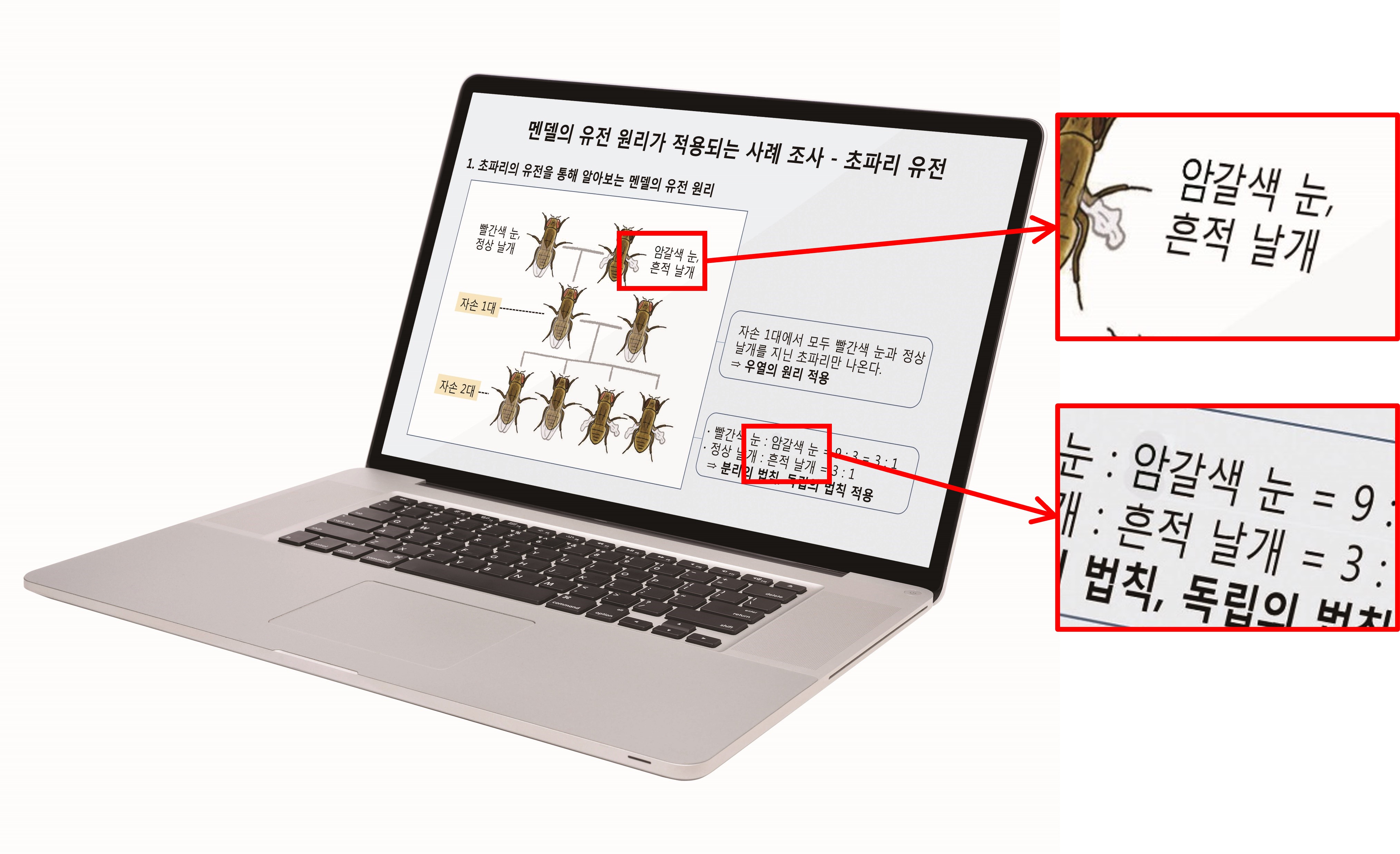 (주)비상교육 과학3 181쪽 수정내용 이미지