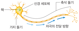 (주)천재교과서 과학3 173쪽 수정내용 이미지