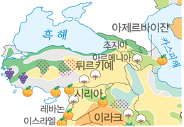 (주)미래엔 세계지리 128쪽 수정내용 이미지