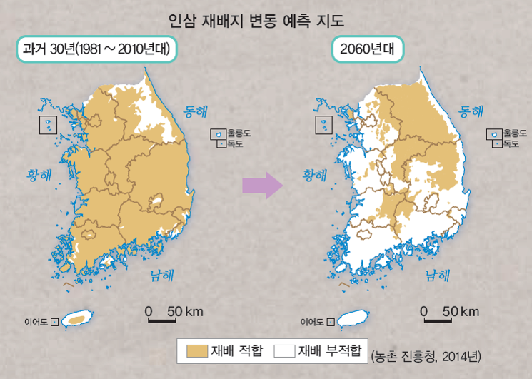 (주)지학사 사회② 184쪽 현행내용 이미지