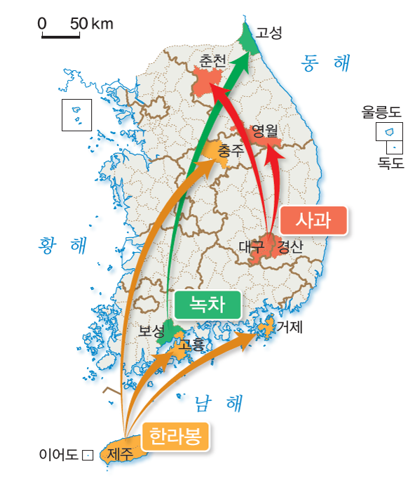 (주)지학사 사회② 263쪽 현행내용 이미지