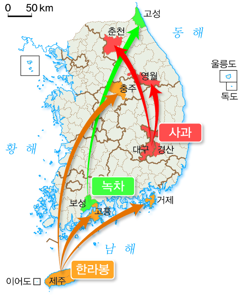 (주)지학사 사회② 263쪽 수정내용 이미지