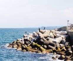 (주)지학사 과학(5~6학년군)6-1 107쪽 현행내용 이미지