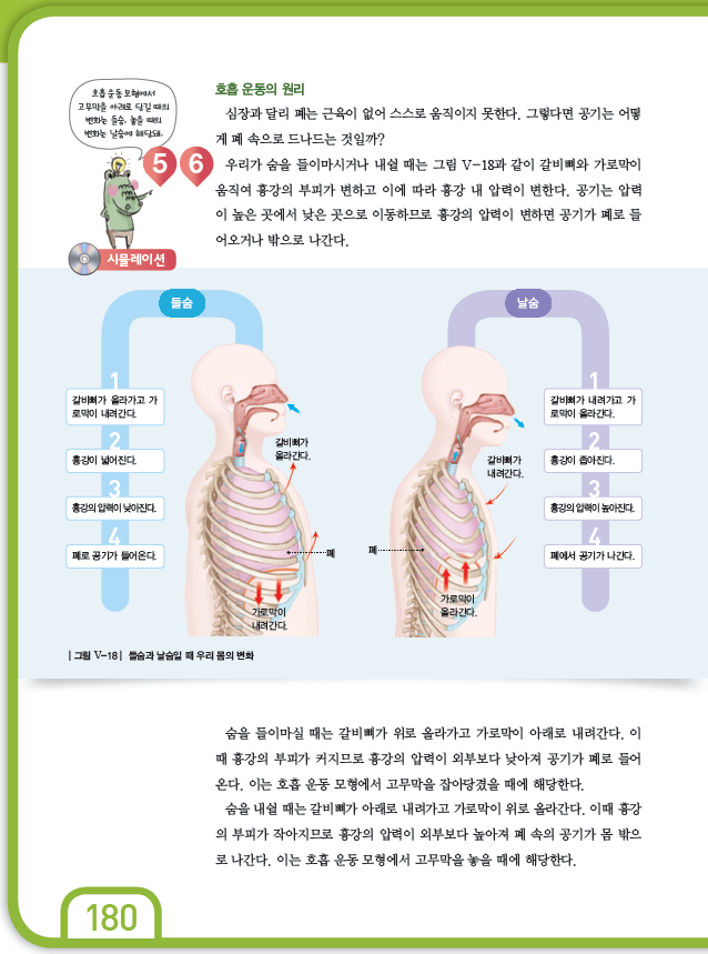 (주)천재교과서 과학2(전자저작물 CD 포함) 300쪽 현행내용 이미지