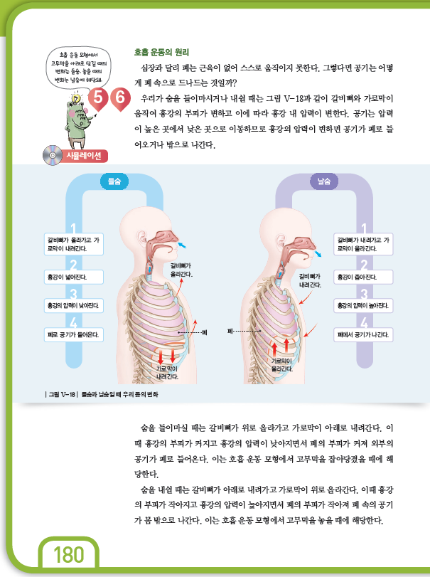 (주)천재교과서 과학2(전자저작물 CD 포함) 300쪽 수정내용 이미지