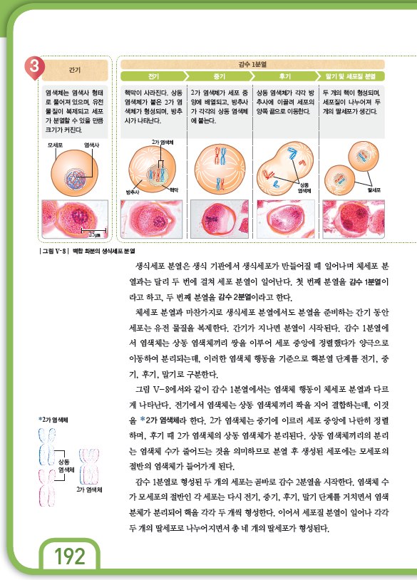 (주)천재교과서 과학3(전자저작물 CD 포함) 308쪽 수정내용 이미지