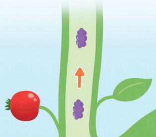 김영사 과학(5~6학년군)6-1 79쪽 현행내용 이미지