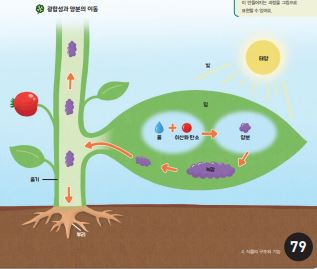 김영사 과학(5~6학년군)6-1(전자저작물 CD 포함) 308쪽 현행내용 이미지