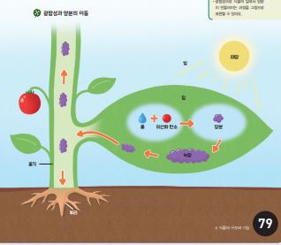 김영사 과학(5~6학년군)6-1(전자저작물 CD 포함) 308쪽 수정내용 이미지