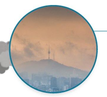 (주)아이스크림미디어 과학(5~6학년군)5-2 35쪽 현행내용 이미지