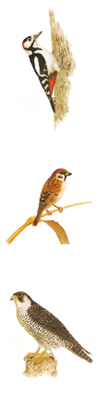 (주)미래엔 국어활동(1～2학년군)2-1 88쪽 현행내용 이미지